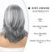 Jolelyne Silver Gray Ombre Layered Wig with Curtain Bangs - Synthetic Short Bob Wig for Black Women - Grey 02 - Buy Online on GoSupps.com