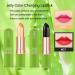 Kaynest Aloe Vera Lipstick Set-C - 2 Pack Moisturizing Lip Balm for Long Lasting Color Change - Buy Online on GoSupps.com