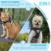 Buy Supet Cat Dishes & Soft Cat Vest with Leash for Kittens & Chihuahua - L Size Black - International Shipping Available - Buy Online on GoSupps.com