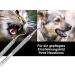 Tartar Remover for Dogs - Stainless Steel Tooth Cleaner & Scaler for Pets | Kausnack Alternative - Buy Online on GoSupps.com
