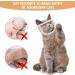 Transparent Breathable Cat Muzzle Anti-bite and Anti-lick Pet Mask for Grooming Bathing Nail Clipping Cotton Cat Mouth Cover Suitable for Aggressive Cat Kittens with a Head Circumference of 11.81-13.78in(30-35cm) - Buy Online on GoSupps.com