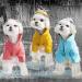 BPS Waterproof Rain Jacket for Dogs - Hooded Lightweight & Durable 100% Polyester - Small Medium & Large Size - Perfect Pet Protection (S Red) - Buy Online on GoSupps.com