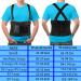 PAZAPO Back Brace - Ultimate Lower Lumbar Support for Men & Women | Adjustable Back Belt for Heavy Lifting & Workouts | XL/XXL (Waist: 37-45 Inches - Buy Online on GoSupps.com