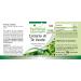 Buy Fairvital Green Tea Capsules - High Dose Vegan Supplement with Caffeine Polyphenols & EGCG - 100 Capsules - International Shipping - Buy Online on GoSupps.com