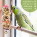 Vegena 7-Piece Wooden Bird Toy Set - Colorful Ladders with Landing Sites for Budgies Parrots and Cockatoos - Ideal Bird Cage Accessories - Buy Online on GoSupps.com