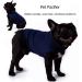 Wingfly Dog Coat Calming Vest - Anxiety Relief Shirt for Dogs | Stress-Free Pet Clothing (Medium Blue) - Buy Online on GoSupps.com