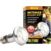 Exo Terra Intense Basking Spot Lamp - 50W R20 Heat Spot Yellow E27 Socket - Ideal for Reptiles & Amphibians - Buy Online on GoSupps.com