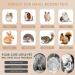 Bissap Bunny Chew Toy | Cage Hanging Treats & Toys for Rabbits, Guinea Pigs, Chinchillas, Hamsters, Rats | Teeth Grinding Rattan Ring Snacks - Small Pets Accessories - Buy Online on GoSupps.com