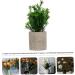 TOPBATHY False Green Plant 5 Pcs Simulated Potted Plant Pulp Potted Plants Household Fake Trees Artificial As Shownx5pcs 21.5x8cmx5pcs - Buy Online on GoSupps.com