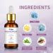 Bakuchiol Retinol Serum 2 PCS Retinol Rejuvenation Serum for Anti Aging & Reduce Wrinkles Fine Lines & Sagging Moisturising Skin 2.02 fl.oz - Buy Online on GoSupps.com
