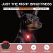 Buy Tubasion LED Dog Light - USB-C Waterproof Pet Light for Safety & Camping (Red) | IP65 Silicone Design - Buy Online on GoSupps.com