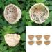 FLAMEER 6pcs Bamboo Wicker Woven Canary Nest Pans Small Bird Nest Boxes Cage Hanging - Buy Online on GoSupps.com
