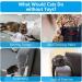 Osdue Cat Mint Toys - 3 Plush Fish Toys for Cats & Kittens | Dental Chew & Simulation Fish | International Shipping - Buy Online on GoSupps.com