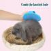 16-Piece Rabbit Grooming Kit with Brush, Hair Remover, Comb, Nail Clipper, Shampoo Bath Brush - Blue | For Rabbits, Guinea Pigs, Hamsters, Bunnies - Buy Online on GoSupps.com