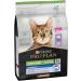 PRO PLAN Senior 7+ STERILISED LONGEVIS Rich in Turkey Dry Cat Food 3kg For Neutered Cats Sterilised 7+ years Turkey 3 kg (Pack of 1) - Buy Online on GoSupps.com