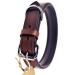 Sniffing fans collar for dogs made of leather dog collar for the large medium and small dog leather collar padded robust (s - 24-30cm brown) S - 24-30cm brown