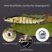 Premium Rubber Fish Bait Set for Trout & Bass Artificial Fishing Bait for Freshwater & Saltwater Perfect Fishing Gifts for Men - Buy Online on GoSupps.com