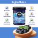 Healthy Crunch - Sugar Free Blueberry Chia Jam - 6 Units x 230ml - Keto Jam Zero Calorie - No Sugar Added - Low Carb & Low Calorie - Ideal for Healthy Snacks Baking and Desserts - Chia Seed Jam - Buy Online on GoSupps.com