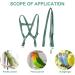 Camidy Adjustable Bird Harness and Leash Kit Macaw Cockatoos Bird Leash for Parrots Outside Training Walk for Large Bird Parrots Green L - Buy Online on GoSupps.com