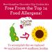 Homefree Mini Chocolate Chip Cookies - Gluten Free, Nut Free, Vegan, School Safe - 5 oz Box - Buy Online on GoSupps.com