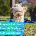 PupRepublic Fast Acting dog diarrhea treatment - Digestive Disorders - More Effective than Kaolin - Sickness & Allergy Relief for Dogs of All Breeds & Sizes 250 ml (Pack of 1) - Buy Online on GoSupps.com