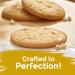 Steve and Andys Gluten Free Vanilla White Chocolate Crunchy Cookies (2 Pack) - Buy Online on GoSupps.com