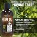Oleavine Neem Oil 12 oz - TheraTree | Pure & Organic Solution for Skin and Hair Care - Buy Online on GoSupps.com