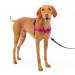 PetSafe Easy Walk Harness Anti-Pull Dog Harness Reduces Choking and Coughing With 1.8M Leash Size M Pink M Pink
