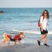 Alagirls Ripstop Dog Lifeguard Vest - High Buoyancy Safety Preserver for Large Dogs | Adjustable Pet Lifeguard Vest with Rescue Handle | Red (L: 58-68cm) - Buy Online on GoSupps.com