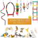 Seahelms 8-Piece Parrot Bird Toys Set - Natural Wood Chewing Hammock Bell & Swing for Nymphic Finches and Small Parrots - Colorful Bird Cage Enrichment - Buy Online on GoSupps.com