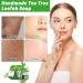 Antifungal Antibacterial Tea Tree Soap Organic Natural Soap Bar Handmade Tea Tree Loofah Soap for Face and Skin Scrub Tea Tree Soap Bar Antifungal Antibacterial Treatment Soap for Anti-Acne - Buy Online on GoSupps.com