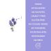 Petal Fresh Lavender Bath & Shower Gel 16 fl oz - Soothing Pure Formula - Buy Online on GoSupps.com