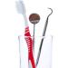 Dental Plaque Remover Tool - Stainless Steel Tartar Scraper for Teeth Cleaning - Dentist Approved Dental Scaler Pick - Buy Online on GoSupps.com