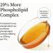 Precision Nutrients Essential Phospholipid Complex Sunflower-Based Brain Supplement for Memory Focus Cellular Detox and Repair Cognitive Support with PC PE PI PS PA Non-GMO - 16fl oz - Buy Online on GoSupps.com