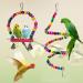 Natural Wood Coconut Bird House with Ladder & Swing Set - Bird Cage Accessories for Parakeets, Cockatiels, and Small Parrots - Buy Online on GoSupps.com