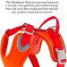 Hurtta Weekend Warrior Eco Dog Harness - Rosehip (32-39 in) | Durable Comfortable & Eco-Friendly for International Shipping - Buy Online on GoSupps.com