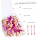 Housoutil 5 Boxes Double Ended Eyeshadow Brush Makeup Brush Eye Shadow Applicator Eye Shadow Sponge Face Cream - Buy Online on GoSupps.com