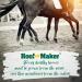 Hypona Hoof Maker Total Vitamin and Mineral Supplement for Strong Healthy Hooves (800g) | Enhances Hoof Strength & Coat Shine | Made in Canada - Buy Online on GoSupps.com
