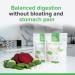 Raw Powders Betaine HCL 650mg 120 Capsules - Vegan Digestive Enzyme Supplement for Heart, Joints, and Liver Health - Buy Online on GoSupps.com