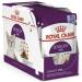Royal Canin Sensory Feel In Jelly Wet Cat Food 12 x 85g Meat 12 count (Pack of 1) - Buy Online on GoSupps.com
