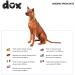 Ddoxx Reflecting Airmesh Step-in Dog Harness - Adjustable XS Puppy Harness for All Sizes - Comfortable & Stylish (Orange) - Buy Online on GoSupps.com