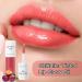  Dubbulon Women's Lip Oil Nourishing and Moisturizing Tinted Lip Treatment Face Makeup for Seasons Parties Events Weddings Evenings and Travel - Buy Online on GoSupps.com
