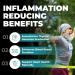 Extra Strength Max Absorb Selenium Glycinate 200 mcg | 160 Capsules | Superior Form of Selenium for Increased Absorption & Bioavailability | Digestion Friendly | Third Party Tested | Canadian Made Quality Assured - Buy Online on GoSupps.com
