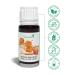 Simply Keto Flavor Drops - Caramel Aroma 10ml | Sugar-Free Calorie-Free & Vegan Flavor Enhancer for Shakes Porridge & More - Buy Online on GoSupps.com