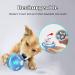BENTOPAL Interactive Wicked Ball Toy for Indoor Cats/Dogs - Motion Activated, USB Rechargeable, Blue - Buy Online on GoSupps.com