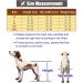 Dog Wheelchair Dog Wheelchair for Back Legs Walk Tool Adjustable Pet Wheelchair Assisted Walker Tool Pet Wheelchair Portable X-Large - Buy Online on GoSupps.com