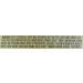 Girard's Dressing Light Champagne 12 oz - Delicious Salad Dressing - 1 Pack - Buy Online on GoSupps.com