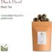 Yunnan Black Dragon Pearls Tea - Strong and Malty Pearl - Golden Special Grade 100g Yunnan Black Pearl 100g - Buy Online on GoSupps.com