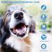 Dog Teeth Cleaning Finger Wipes - 50 CT Dental Care Wipes for Dogs Cats Puppies & Kittens - Natural Pet Presoaked Teeth Wipes - Pet Oral Gums Cleansing Freshens Breath Reduce Plaque & Tartar 50 Count (1 Pack) - Buy Online on GoSupps.com