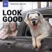 NAMSAN Dog Goggles | Clear UV Protection Sunglasses for Medium-Large Breeds | Anti-Fog, Windproof & Transparent Lens | Outdoor Eye Safety - Black - Buy Online on GoSupps.com